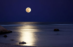 Custom Wall Art &nbsp;&ndash; Nature&nbsp;&ndash; Moonlight