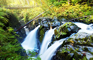 Custom Wall Art &nbsp;&ndash; Nature&nbsp;&ndash; Sol Duc Waterfall