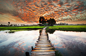 Custom Wall Art &nbsp;&ndash; Nature&nbsp;&ndash; Tropical River