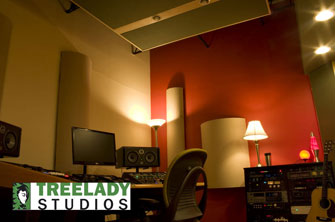 Treelady Studios: Curve Units on Wall